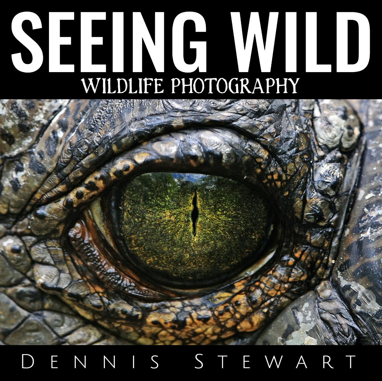 Cover of Seeing Wild by Dennis Stewart, featuring a close view of a gharial eye